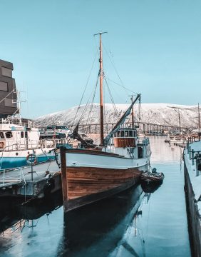 pexels-tobias-bjørkli-2119704