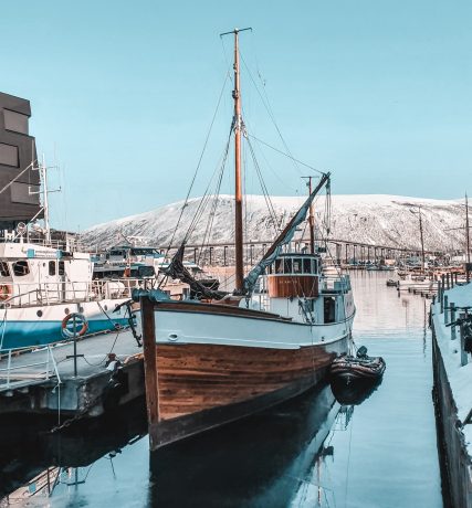 pexels-tobias-bjørkli-2119704